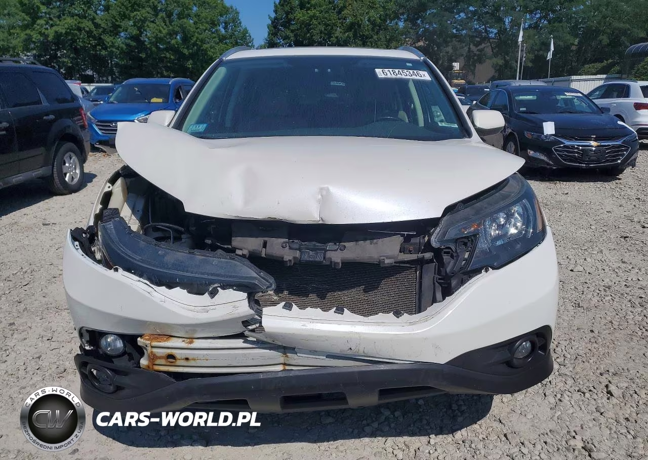 2014 Honda Cr-V Exl VIN:5J6RM4H79EL006271 - 5
