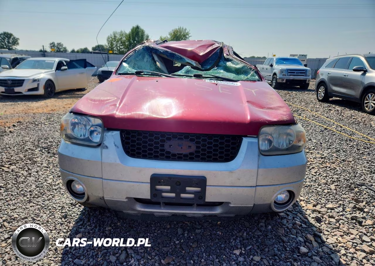 2007 Ford Escape Xlt VIN:1FMYU03177KA98532 - 5