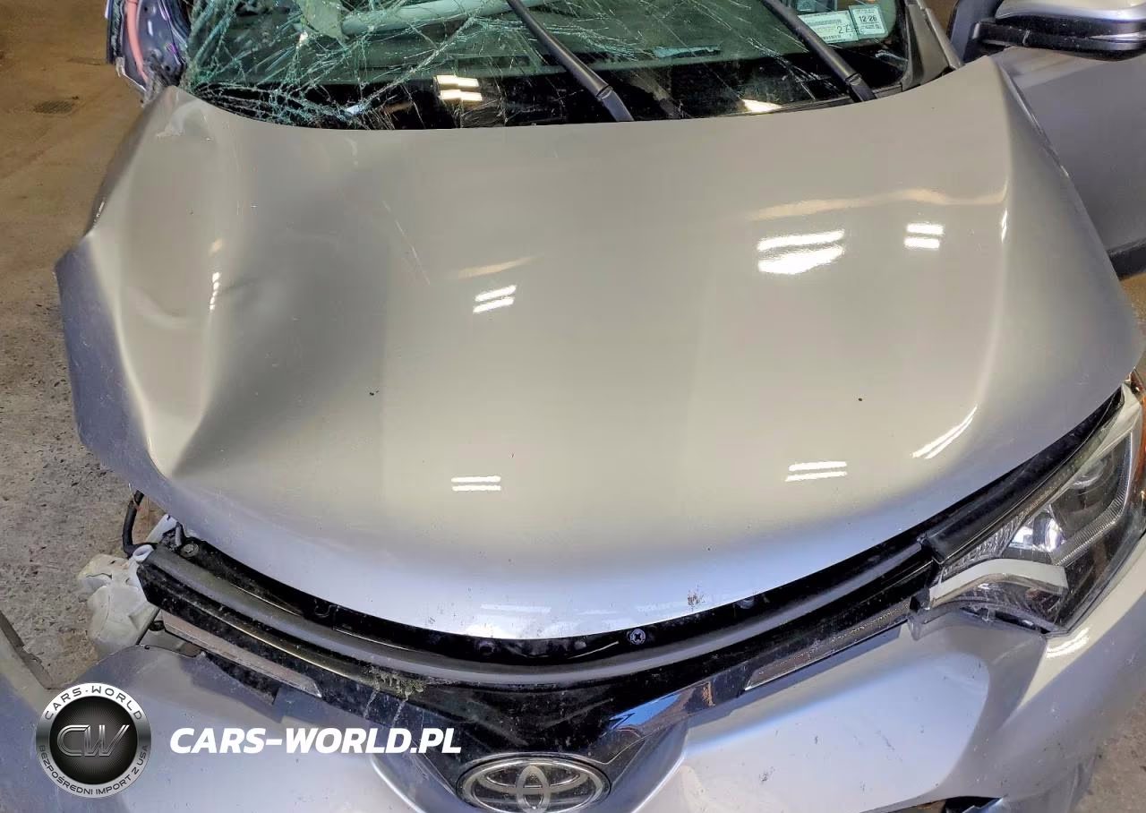 2018 Toyota Rav4 Xle VIN:2T3RFREVXJW803524 - 11