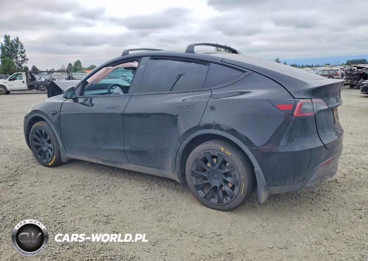2024 Tesla Model Y VIN:7SAYGDED9RF184437 - 2