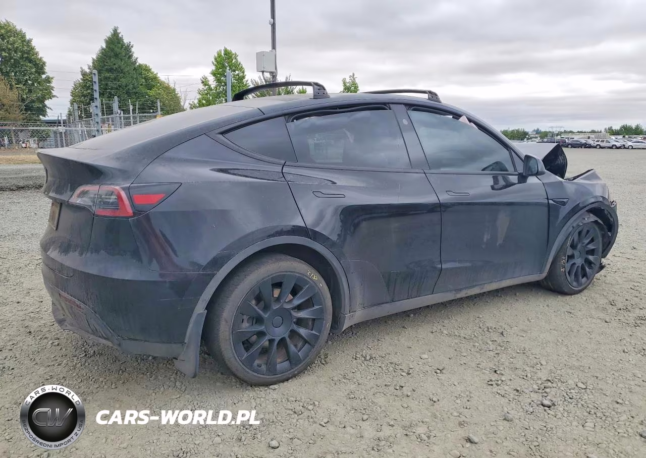 2024 Tesla Model Y VIN:7SAYGDED9RF184437 - 3