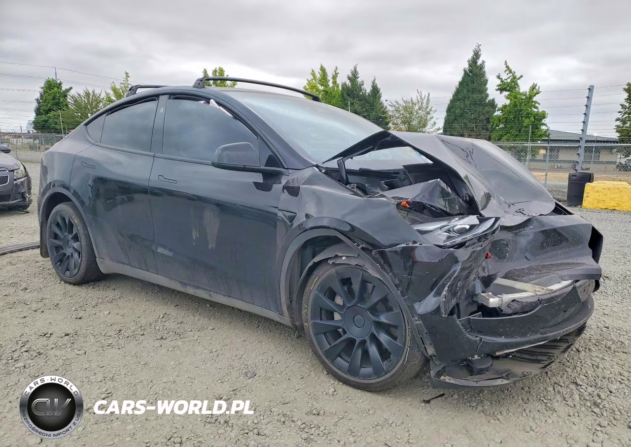 2024 Tesla Model Y VIN:7SAYGDED9RF184437 - 4