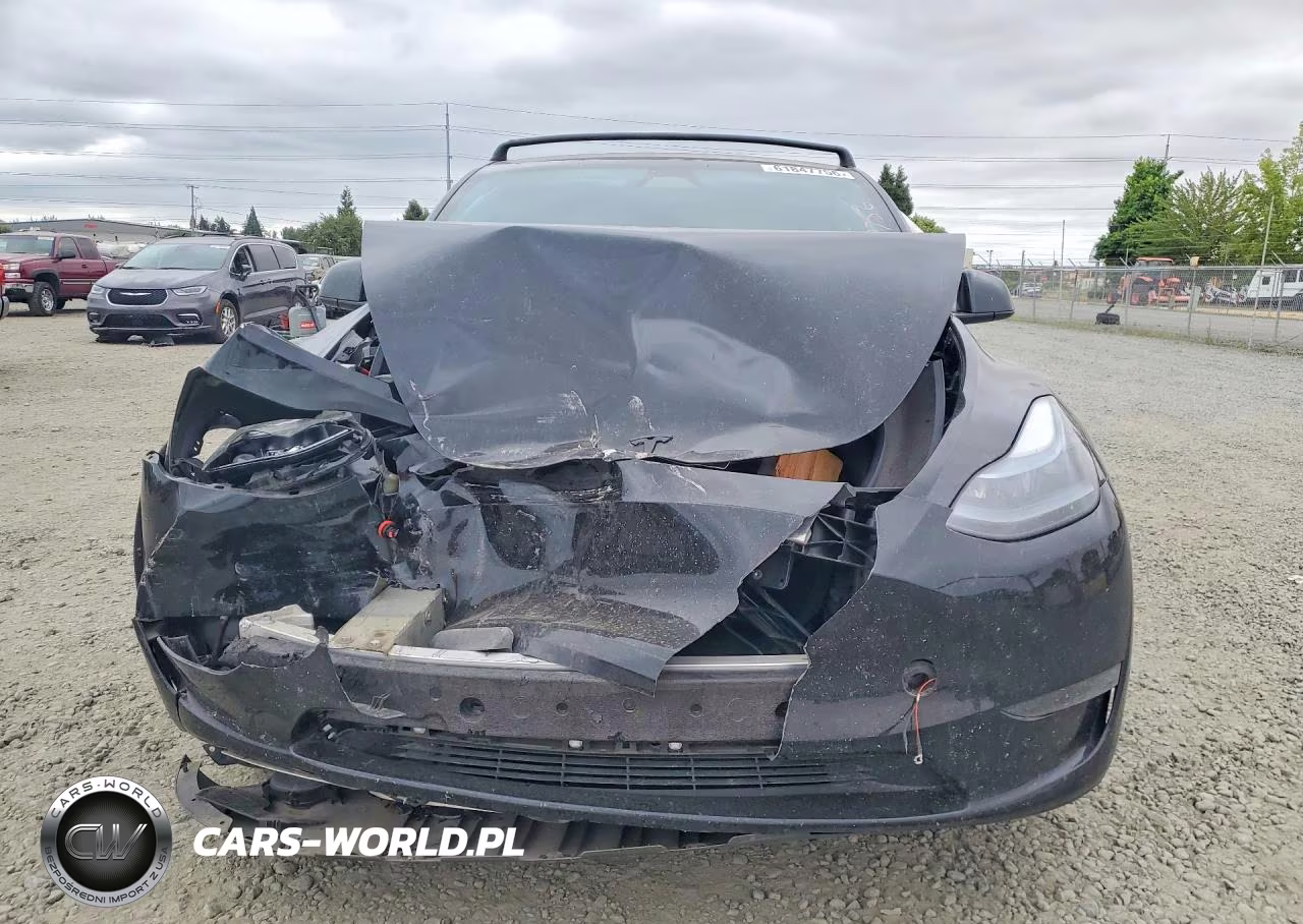 2024 Tesla Model Y VIN:7SAYGDED9RF184437 - 5