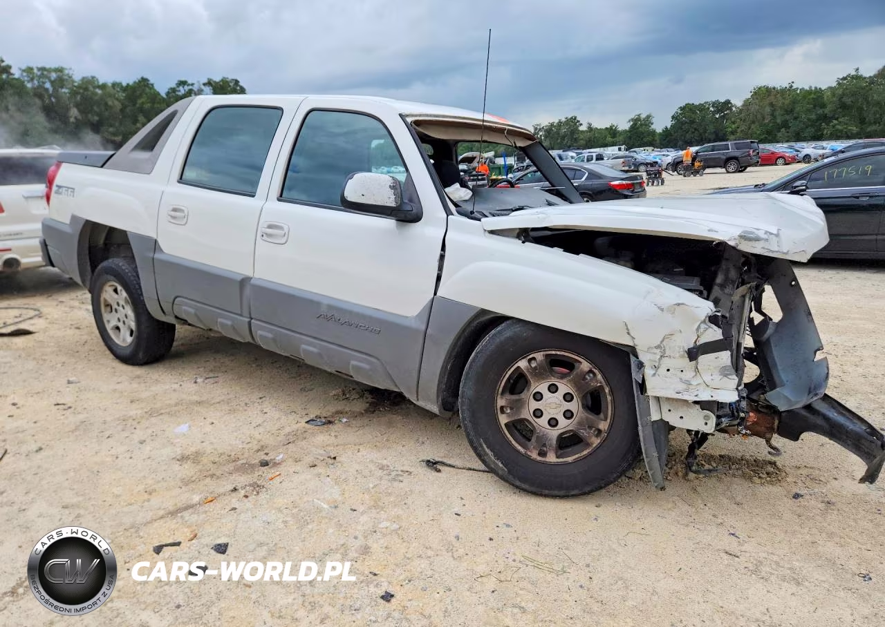 2002 Chevrolet Avalanche C1500 VIN:3GNEC13TX2G101769 - 4