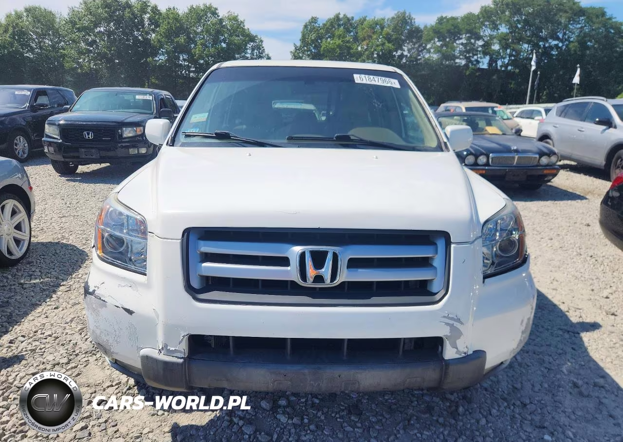 2008 Honda Pilot Exl VIN:5FNYF18528B051682 - 5