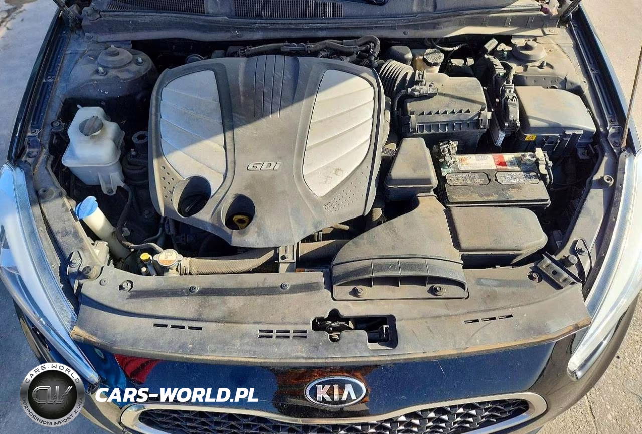 2016 Kia Cadenza Luxury VIN:KNALN4D76G5198896 - 11