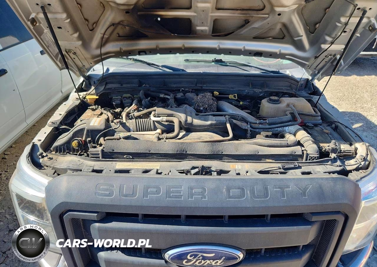 2013 Ford F350 Super Duty VIN:1FT8W3DT3DEA09422 - 12