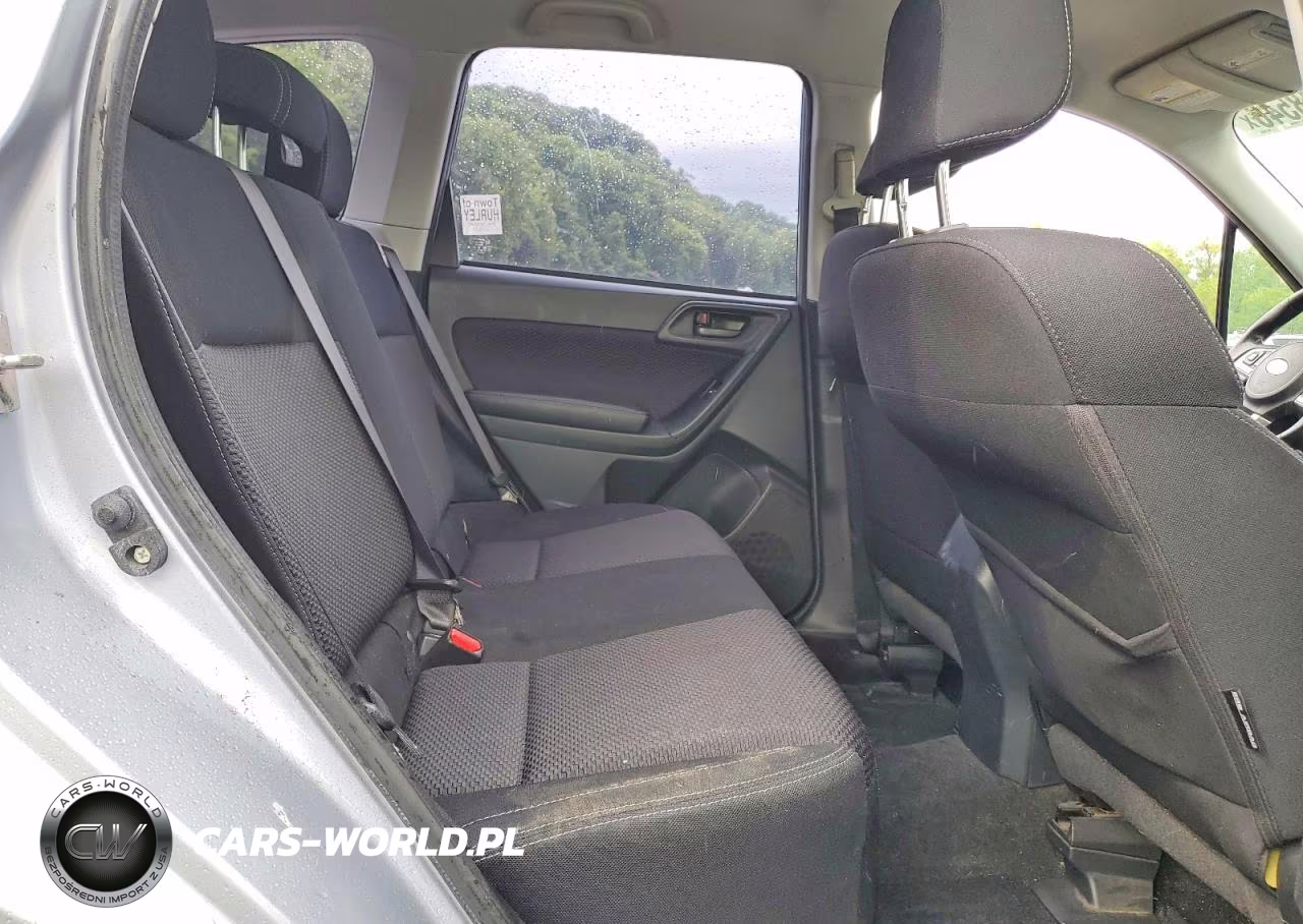 2017 Subaru Forester 2.5I VIN:JF2SJABC1HH413689 - 11