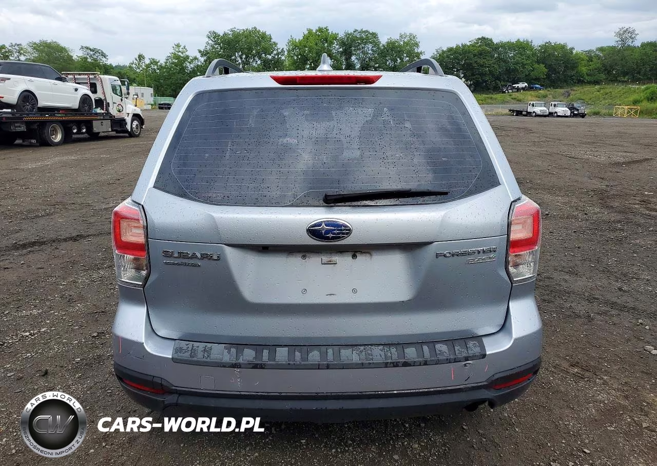 2017 Subaru Forester 2.5I VIN:JF2SJABC1HH413689 - 6