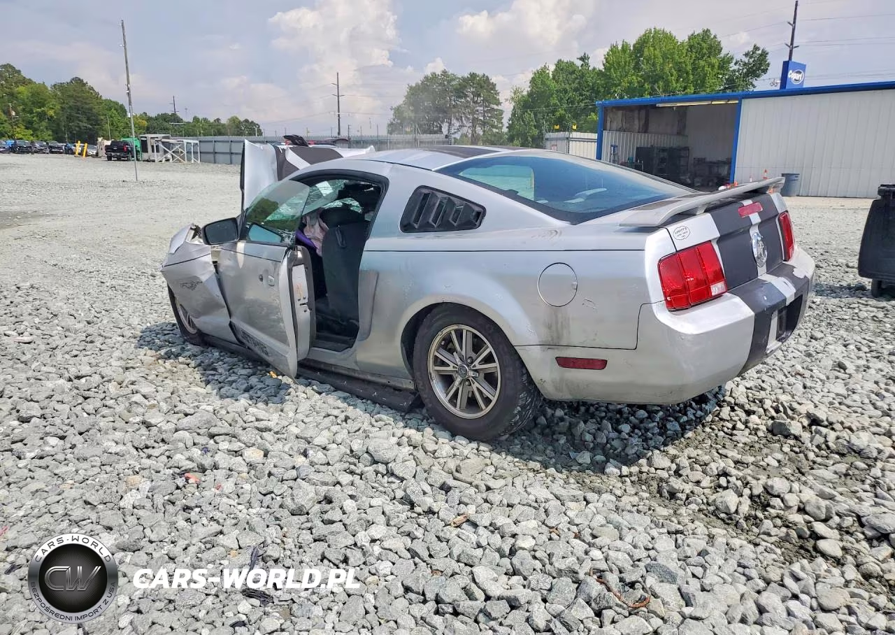 2005 Ford Mustang VIN:1ZVFT80N655138452 - 2