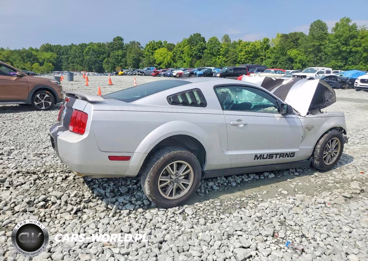 2005 Ford Mustang VIN:1ZVFT80N655138452 - 3