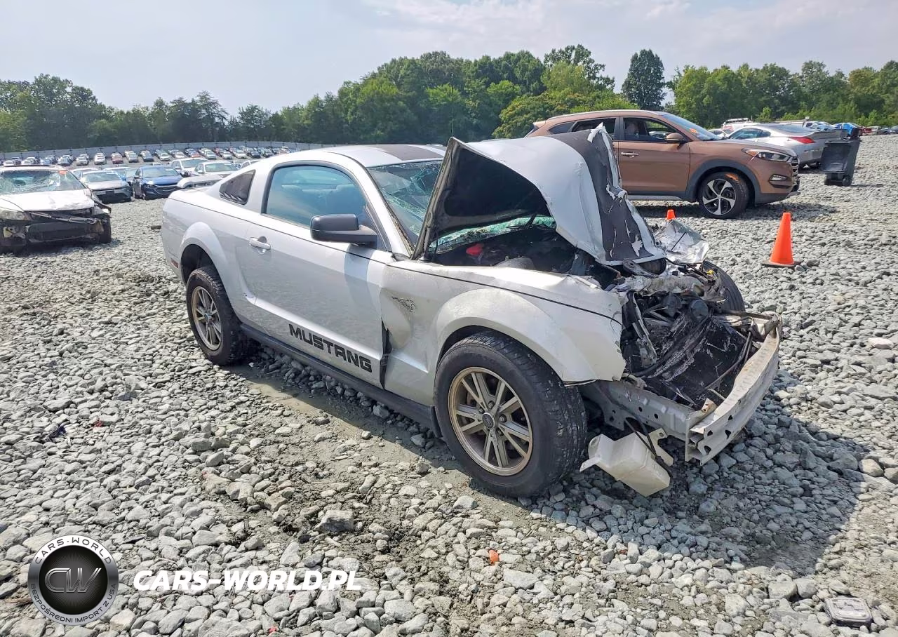 2005 Ford Mustang VIN:1ZVFT80N655138452 - 4
