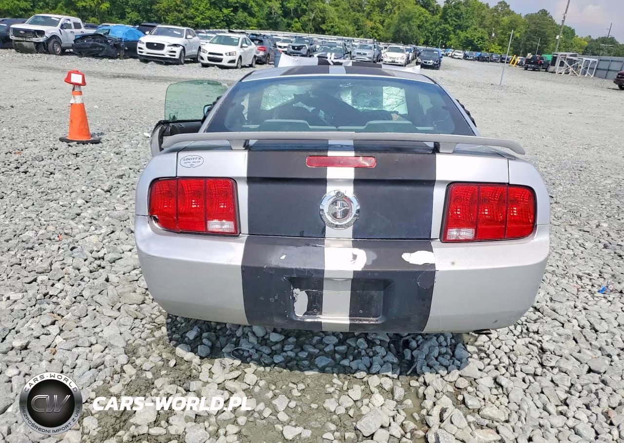 2005 Ford Mustang VIN:1ZVFT80N655138452 - 6