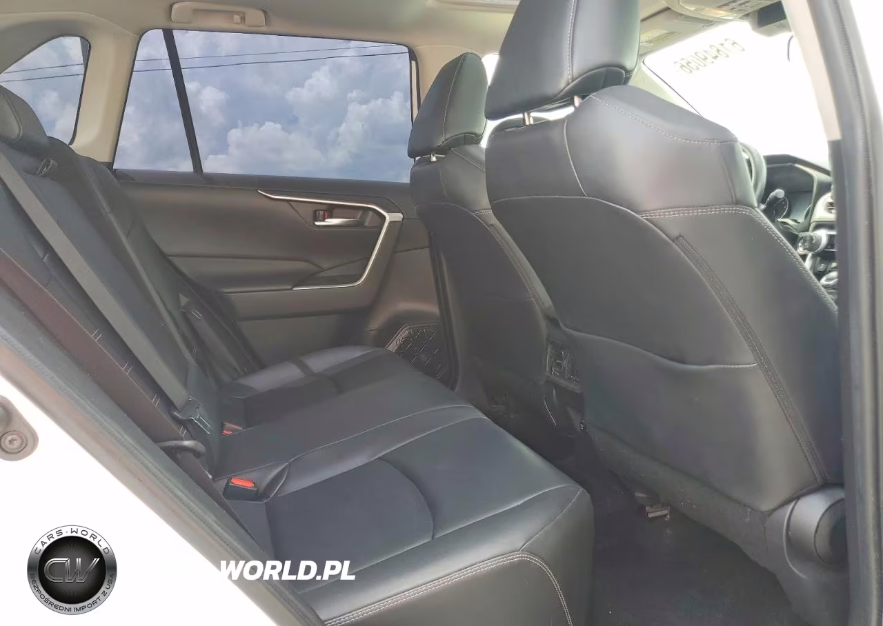2019 Toyota Rav4 Xle Premium VIN:JTMC1RFV1KD021498 - 11