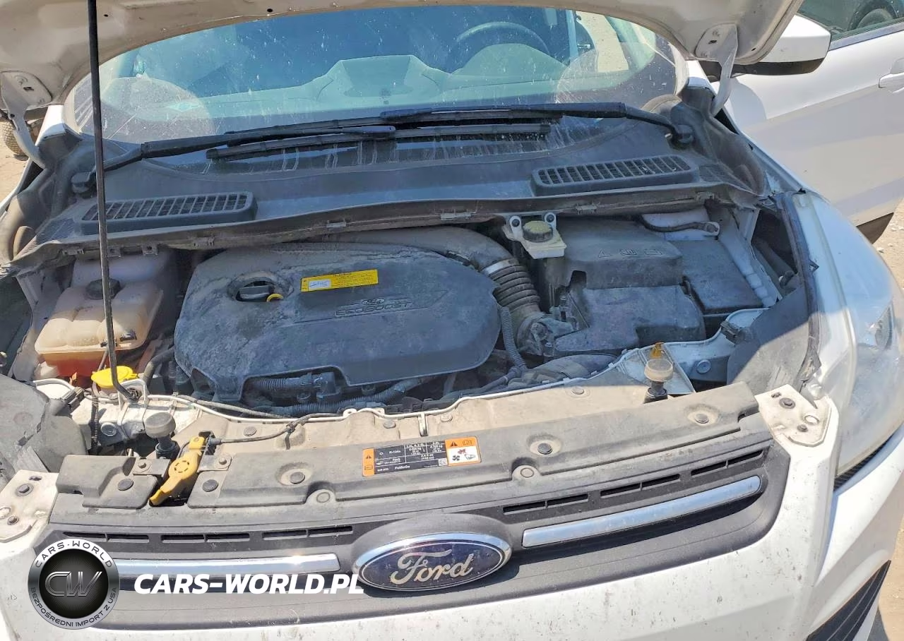 2016 Ford Escape Se VIN:1FMCU9GX0GUA67012 - 12