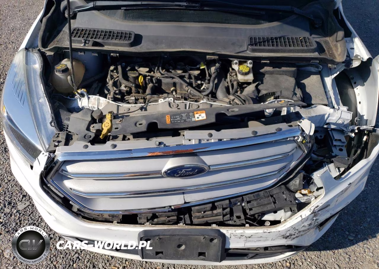 2019 Ford Escape Se VIN:1FMCU9GDXKUB41261 - 11