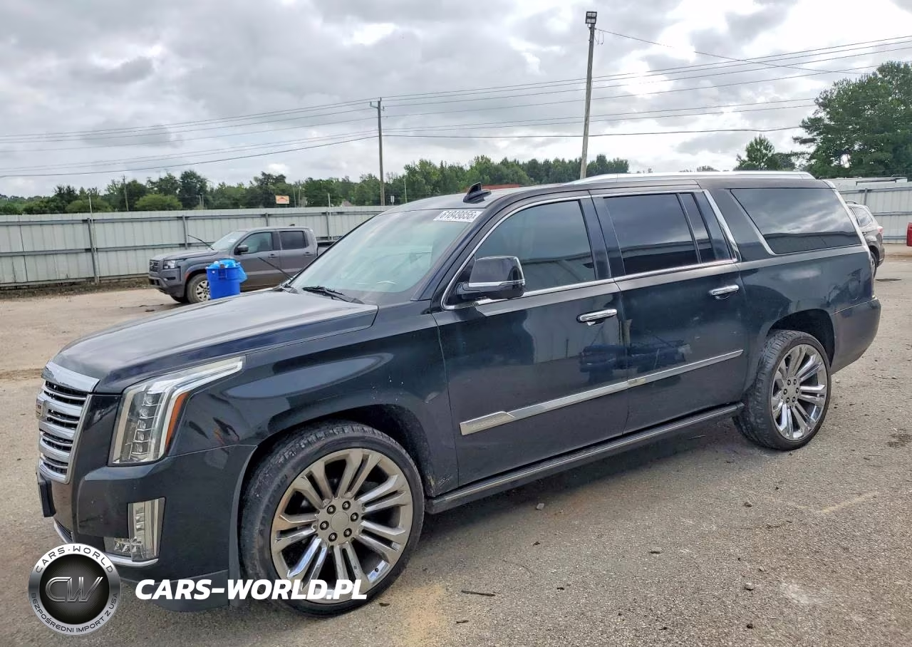 2016 Cadillac Escalade Esv Platinum VIN:1GYS4KKJ6GR307123 - 1