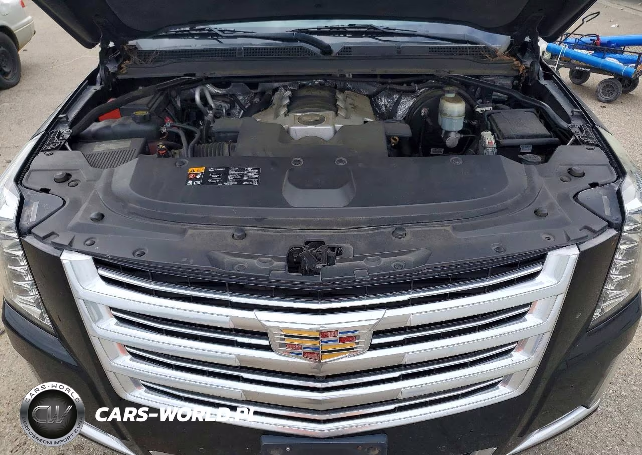 2016 Cadillac Escalade Esv Platinum VIN:1GYS4KKJ6GR307123 - 12
