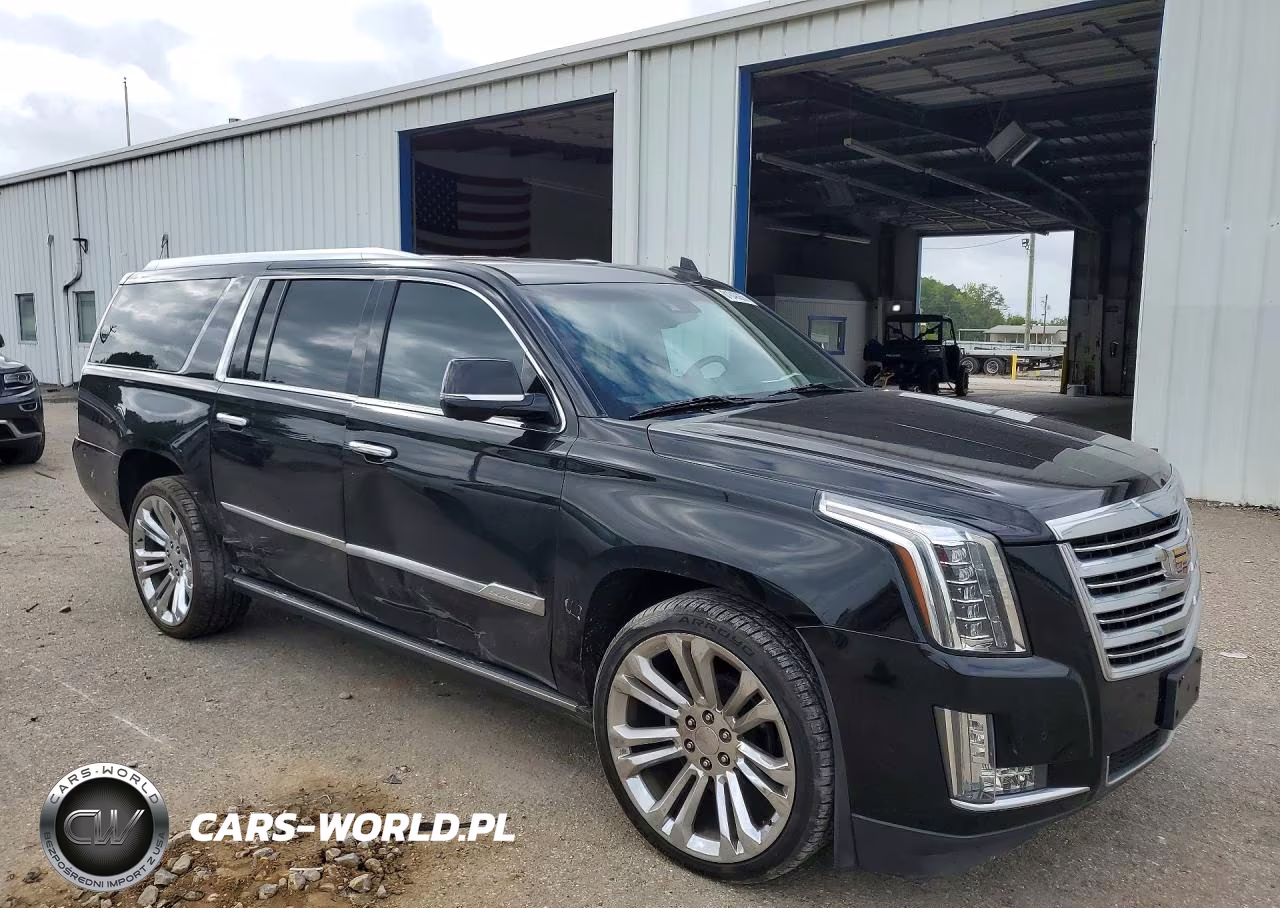 2016 Cadillac Escalade Esv Platinum VIN:1GYS4KKJ6GR307123 - 4