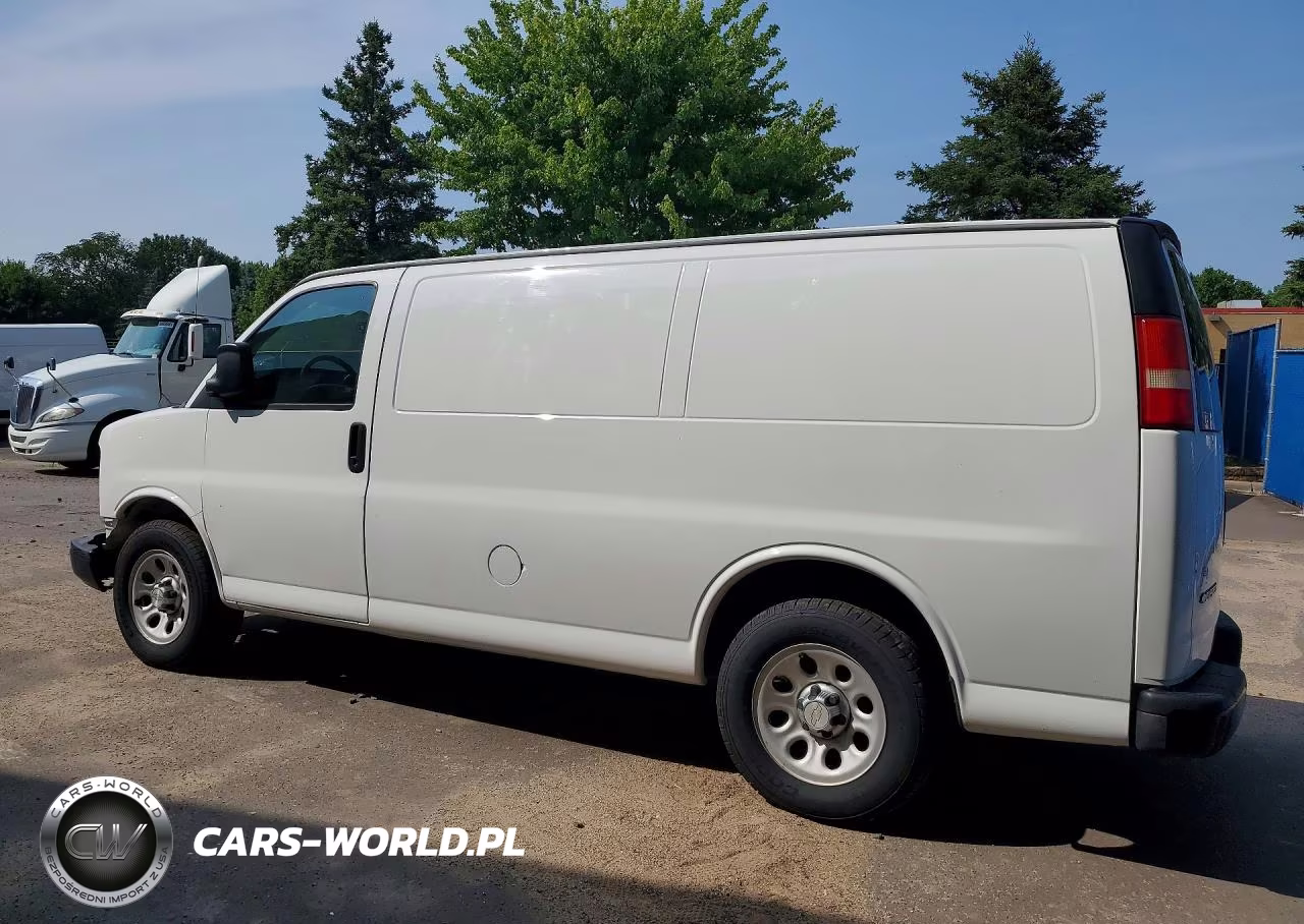 2010 Chevrolet Express G1500 VIN:1GCUGADX5A1166052 - 2