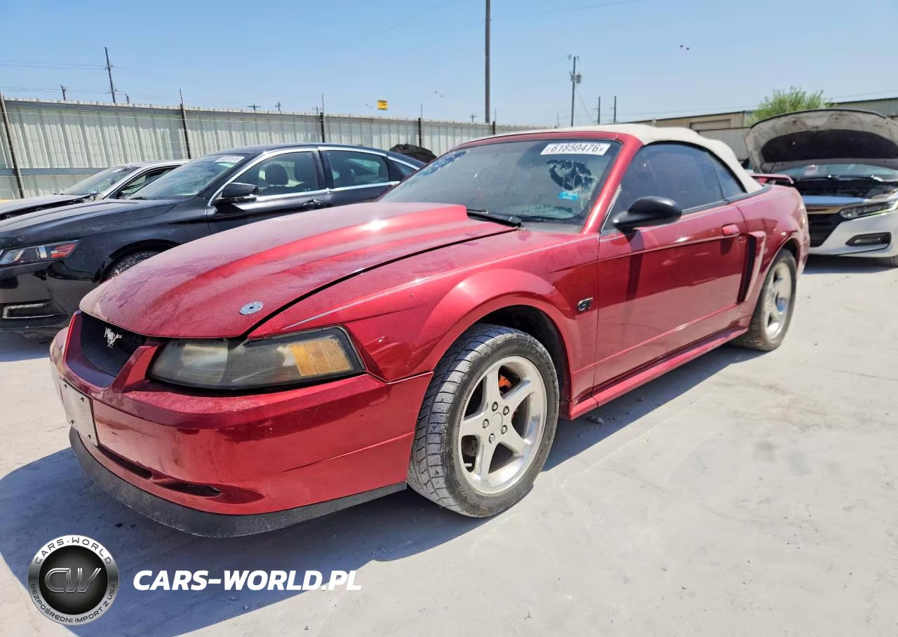 2003 Ford Mustang Gt VIN:1FAFP45X53F401490 - 1