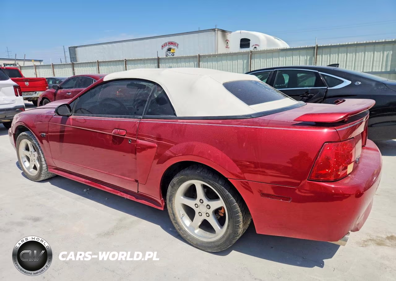 2003 Ford Mustang Gt VIN:1FAFP45X53F401490 - 2