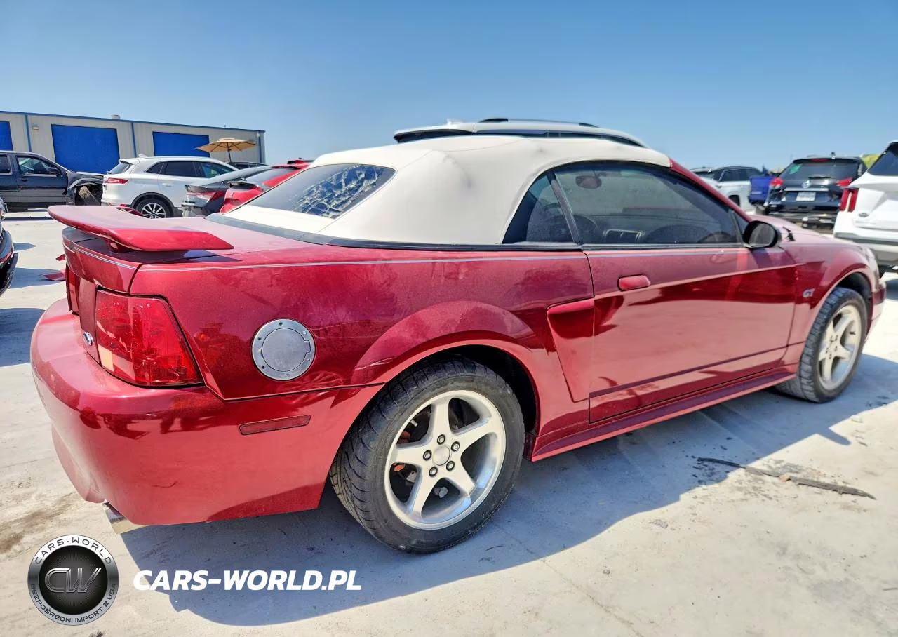 2003 Ford Mustang Gt VIN:1FAFP45X53F401490 - 3