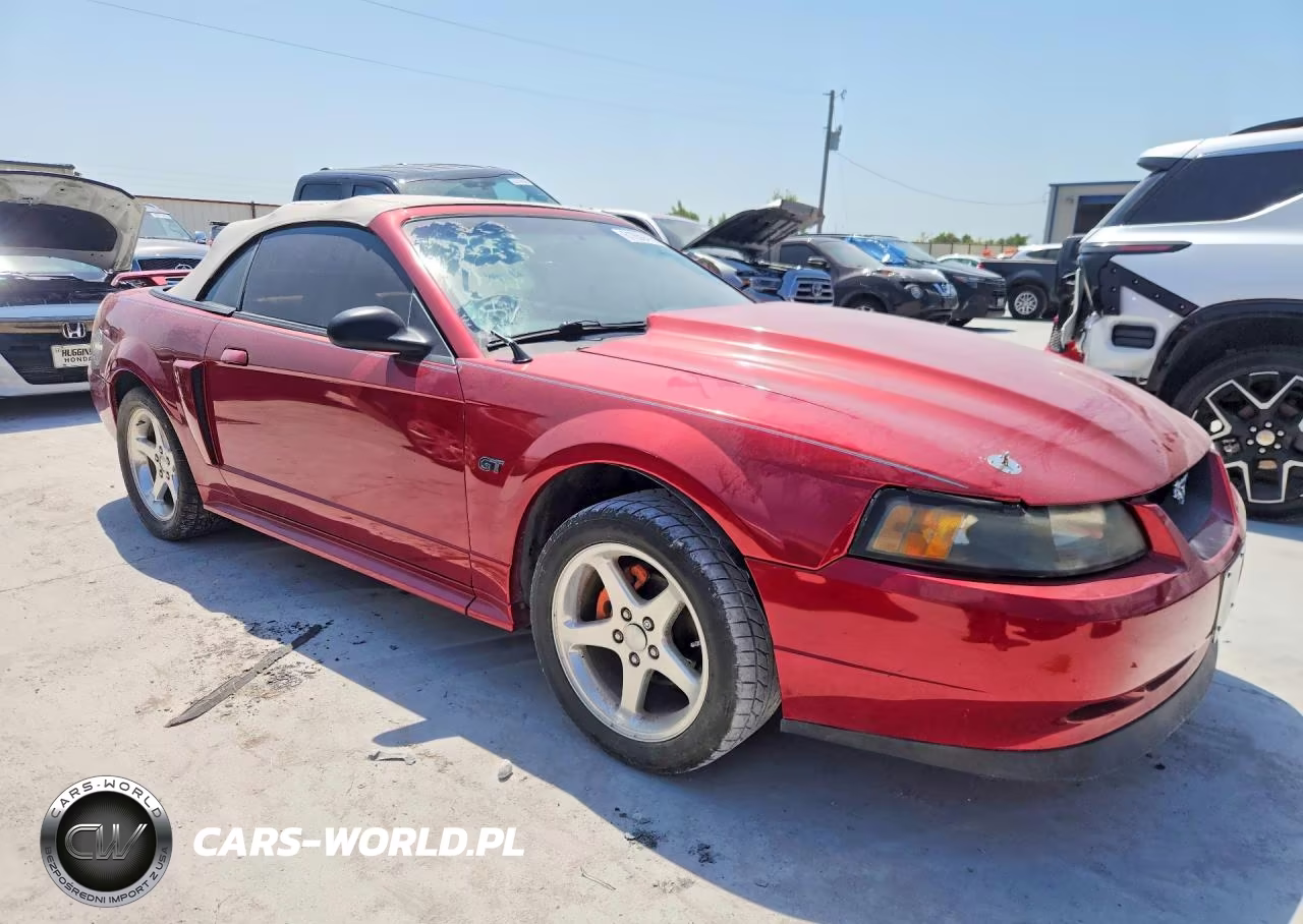 2003 Ford Mustang Gt VIN:1FAFP45X53F401490 - 4
