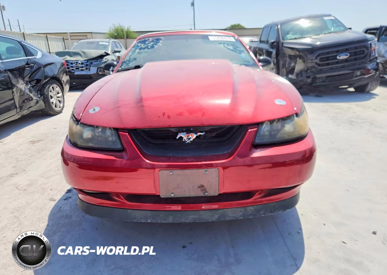 2003 Ford Mustang Gt VIN:1FAFP45X53F401490 - 5