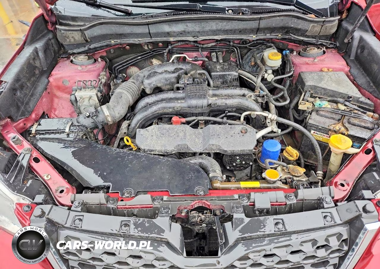 2014 Subaru Forester 2.5I VIN:JF2SJAAC0EH507575 - 12