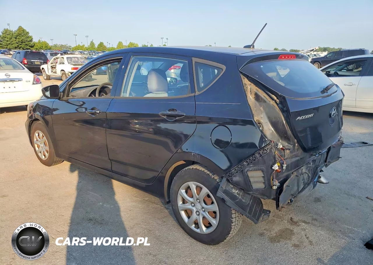 2014 Hyundai Accent Gs VIN:KMHCT5AE3EU154306 - 2