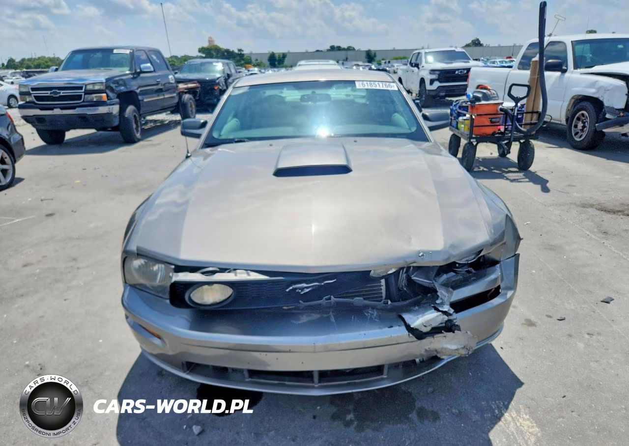 2008 Ford Mustang Gt VIN:1ZVHT82H085201579 - 5