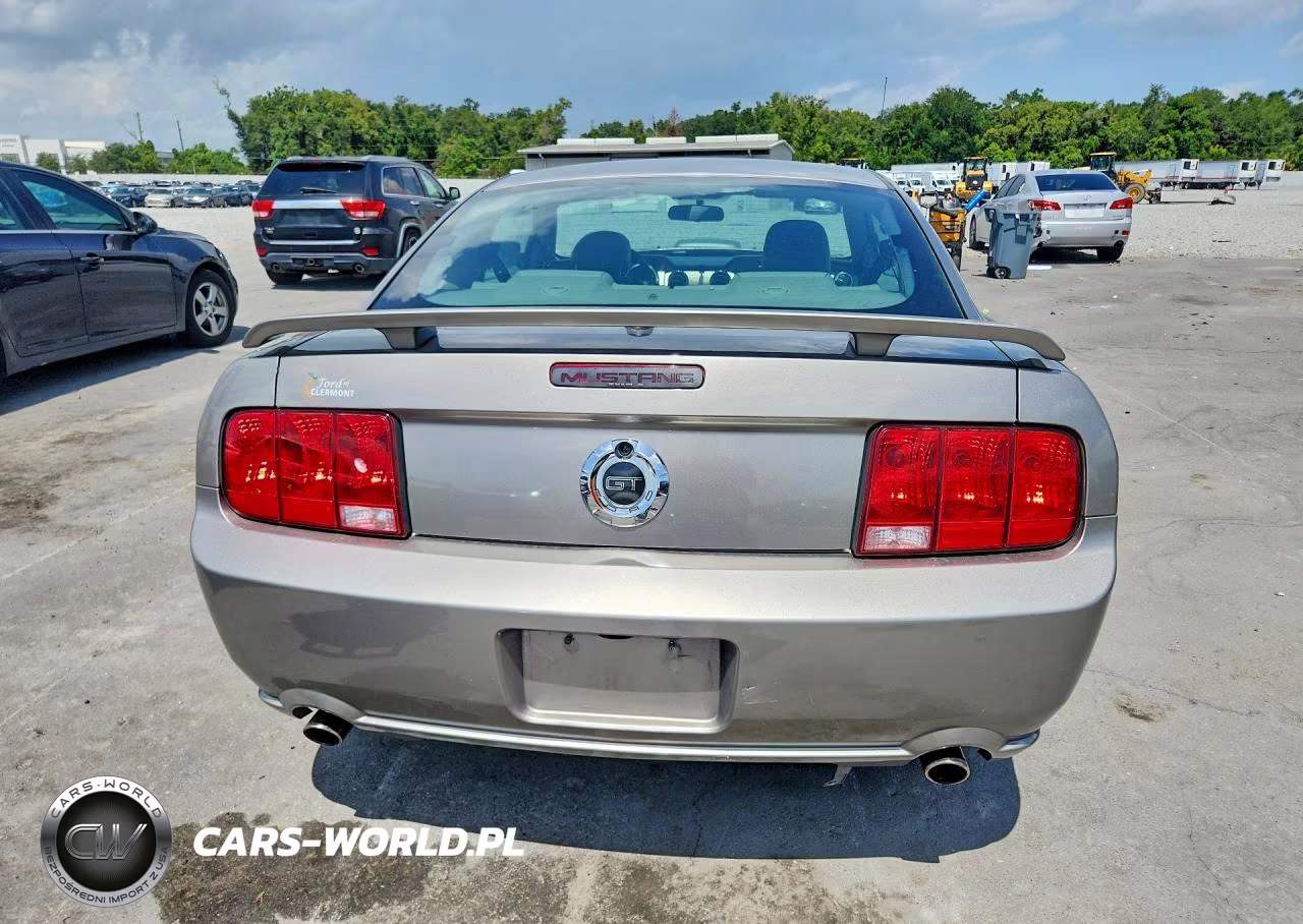 2008 Ford Mustang Gt VIN:1ZVHT82H085201579 - 6