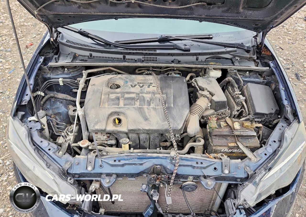 2019 Toyota Corolla Le VIN:2T1BURHE8KC225678 - 11