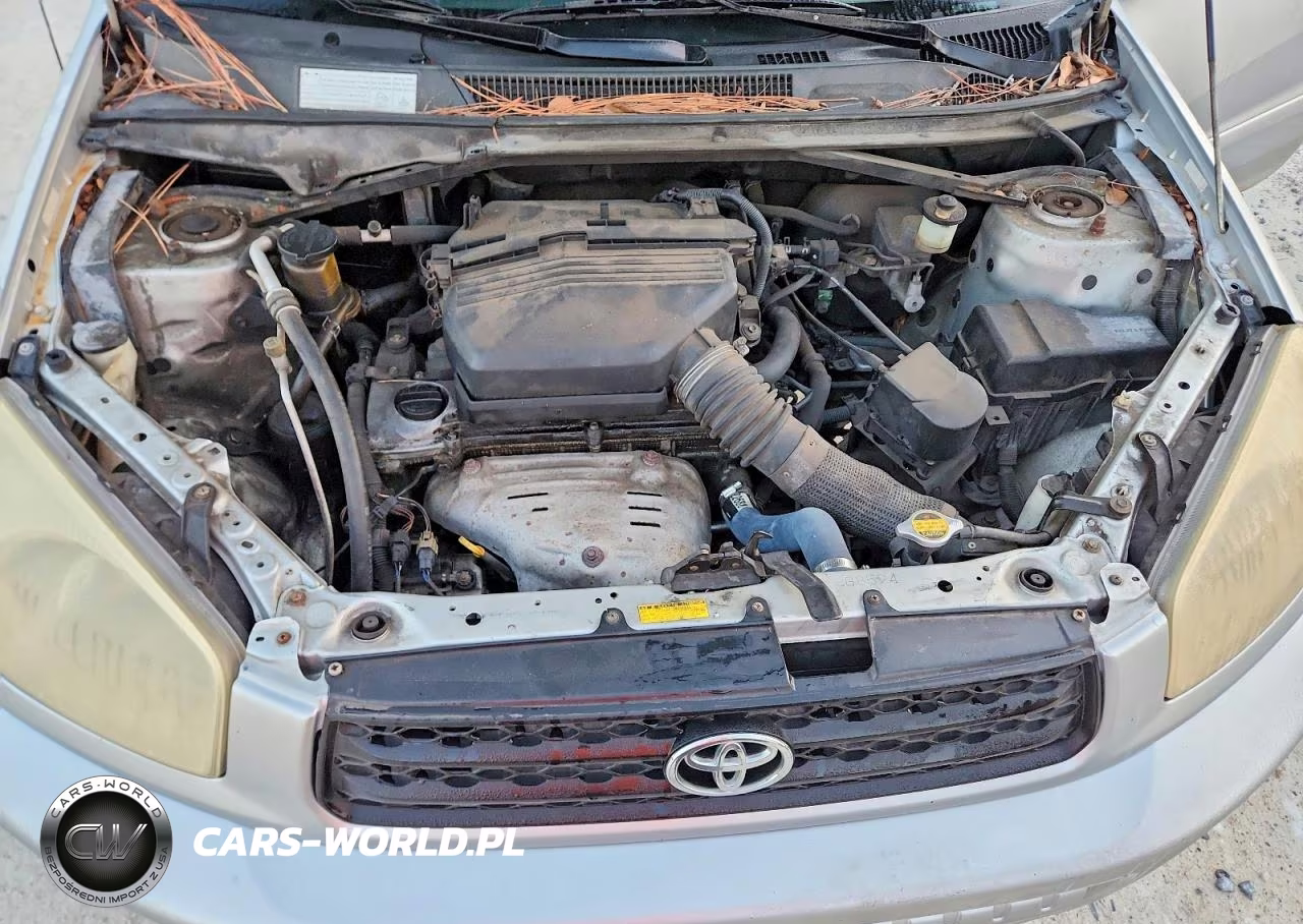 2002 Toyota Rav4 Base VIN:JTEGH20V720075324 - 12