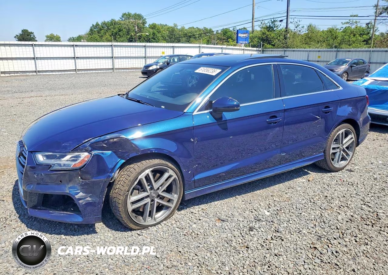 2019 Audi A3 Premium Plus VIN:WAUJEGFF5K1016943 - 1