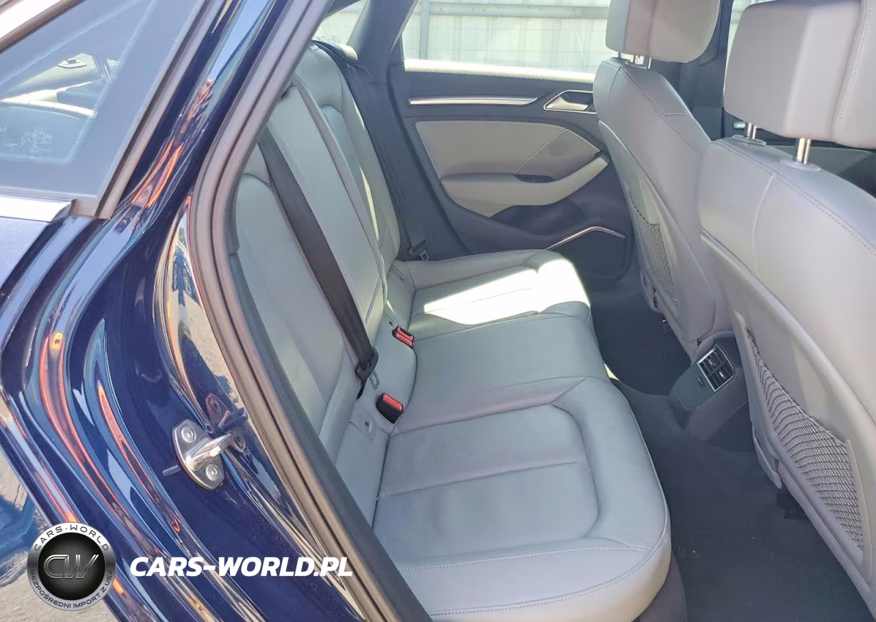 2019 Audi A3 Premium Plus VIN:WAUJEGFF5K1016943 - 10