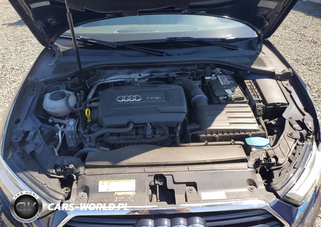 2019 Audi A3 Premium Plus VIN:WAUJEGFF5K1016943 - 11