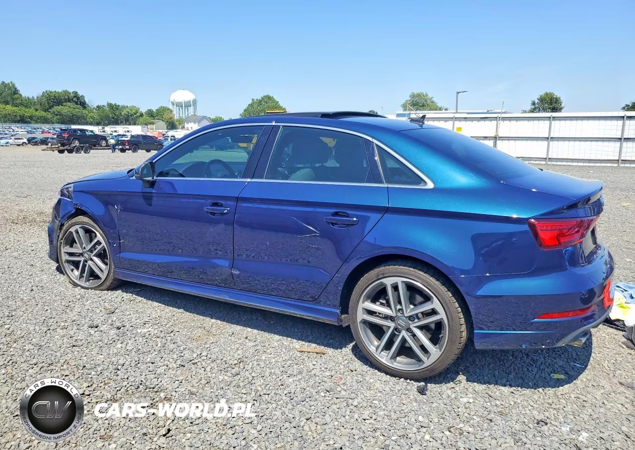 2019 Audi A3 Premium Plus VIN:WAUJEGFF5K1016943 - 2