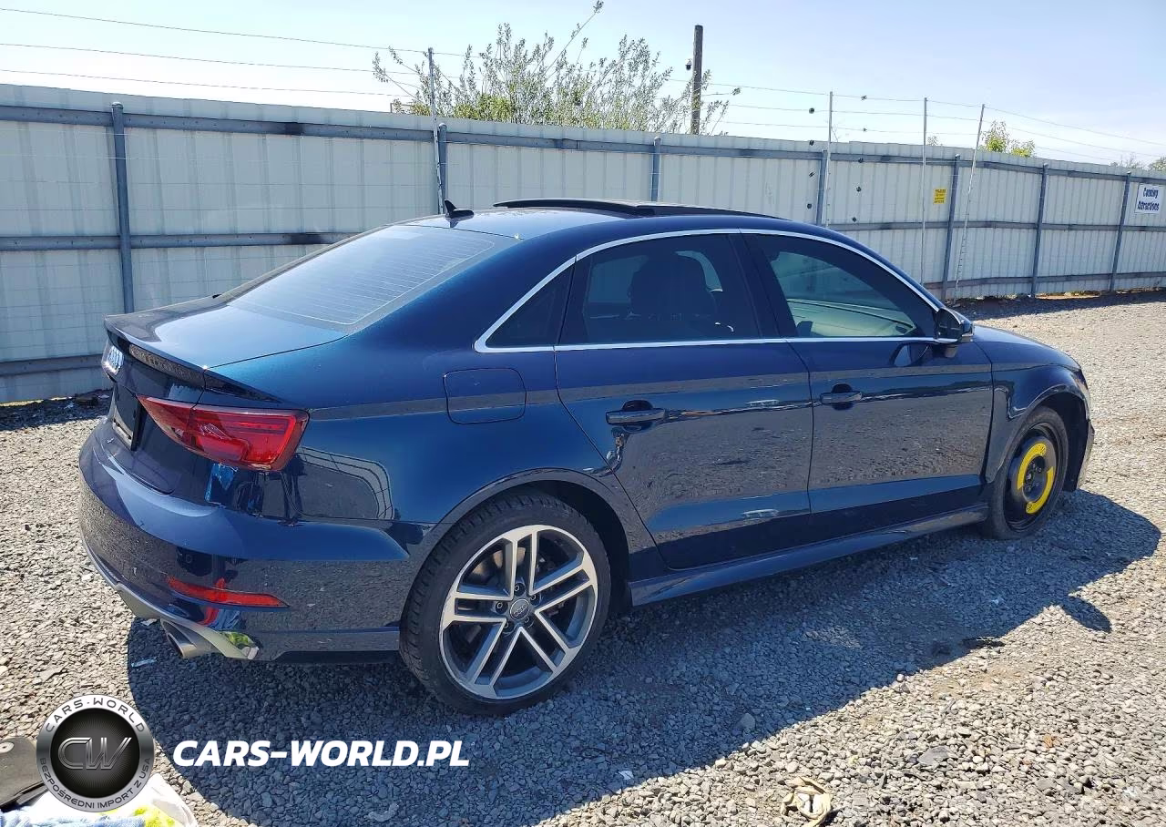 2019 Audi A3 Premium Plus VIN:WAUJEGFF5K1016943 - 3