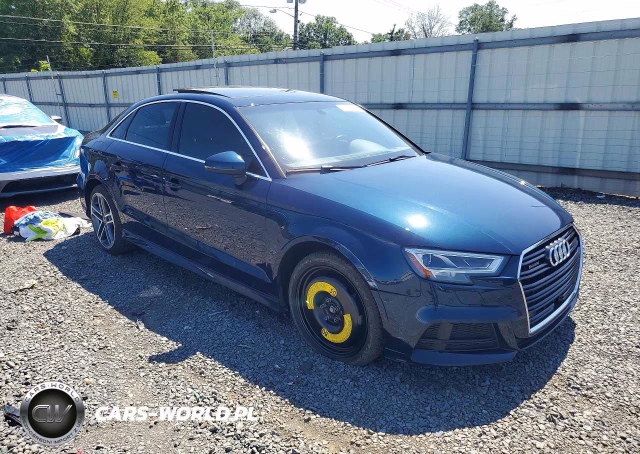 2019 Audi A3 Premium Plus VIN:WAUJEGFF5K1016943 - 4