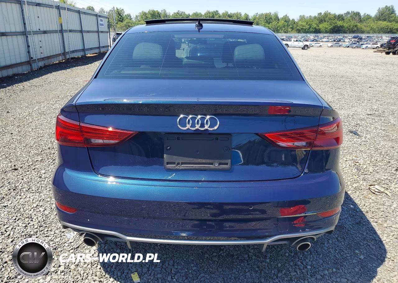 2019 Audi A3 Premium Plus VIN:WAUJEGFF5K1016943 - 6