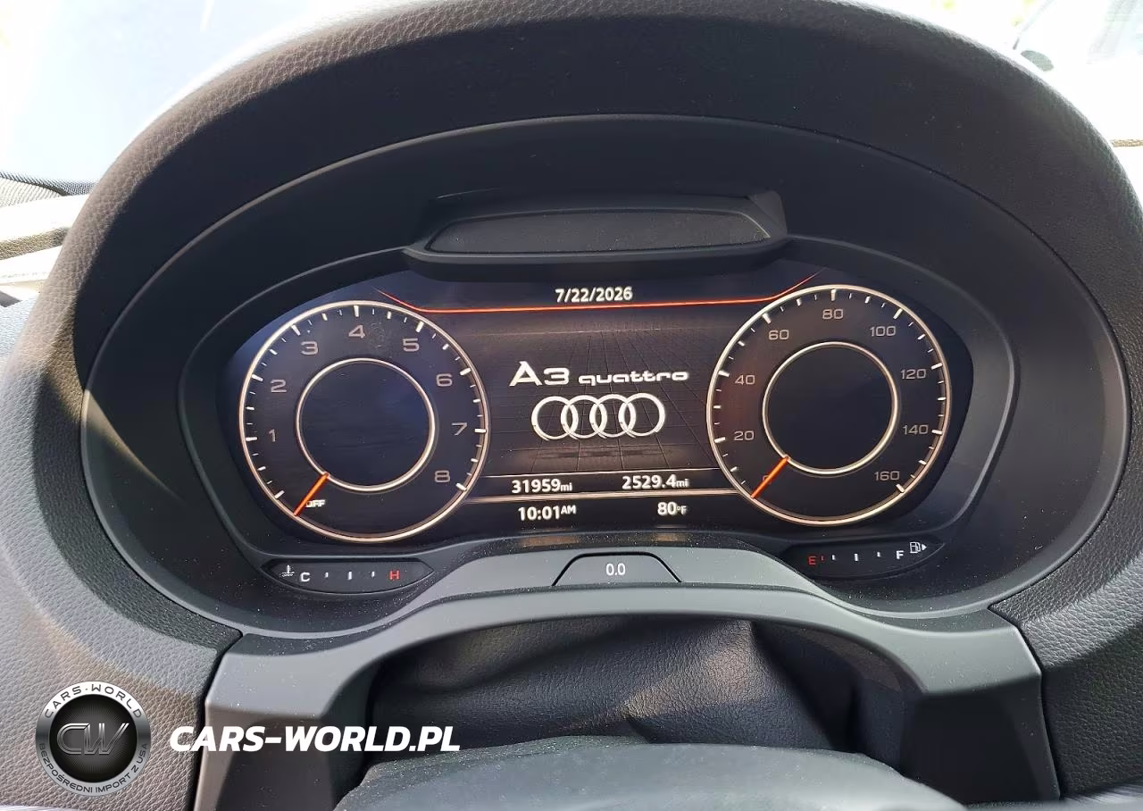 2019 Audi A3 Premium Plus VIN:WAUJEGFF5K1016943 - 9