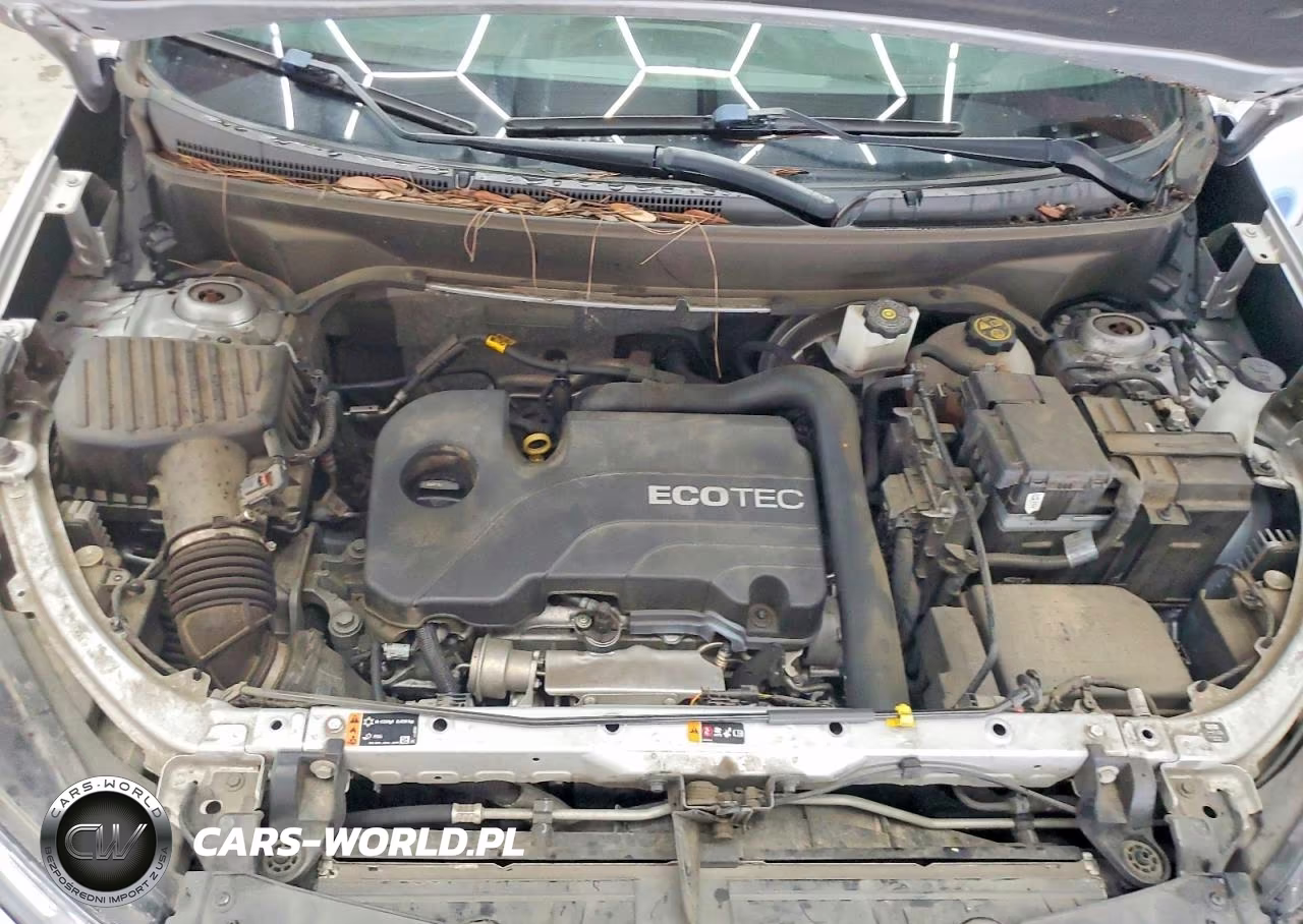 2022 Chevrolet Equinox Lt VIN:2GNAXJEV6N6131577 - 12