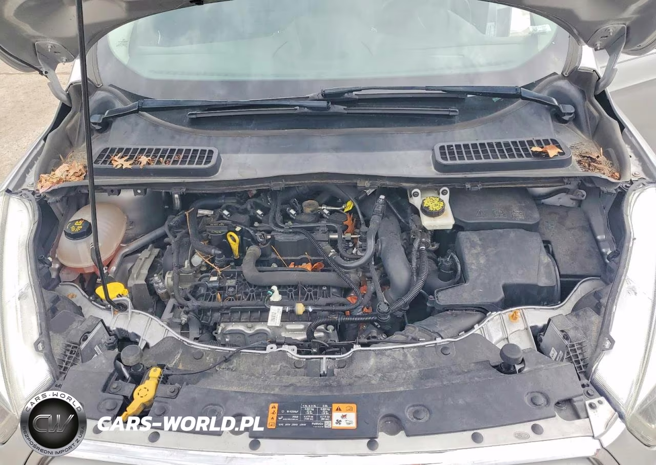 2019 Ford Escape Sel VIN:1FMCU0HD6KUB59203 - 12