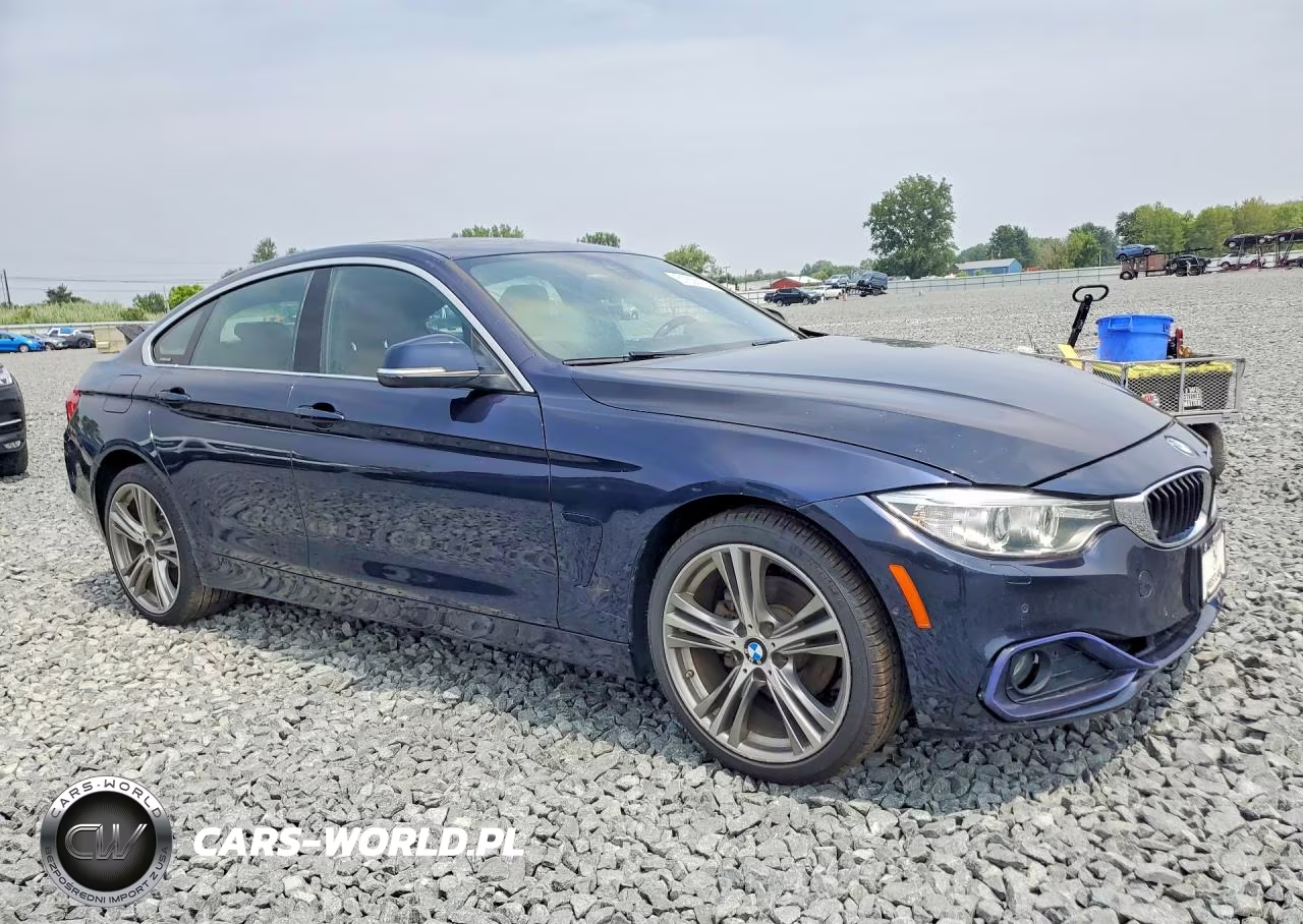 2017 BMW 430Xi Gran Coupe VIN:WBA4F9C57HG792076 - 4