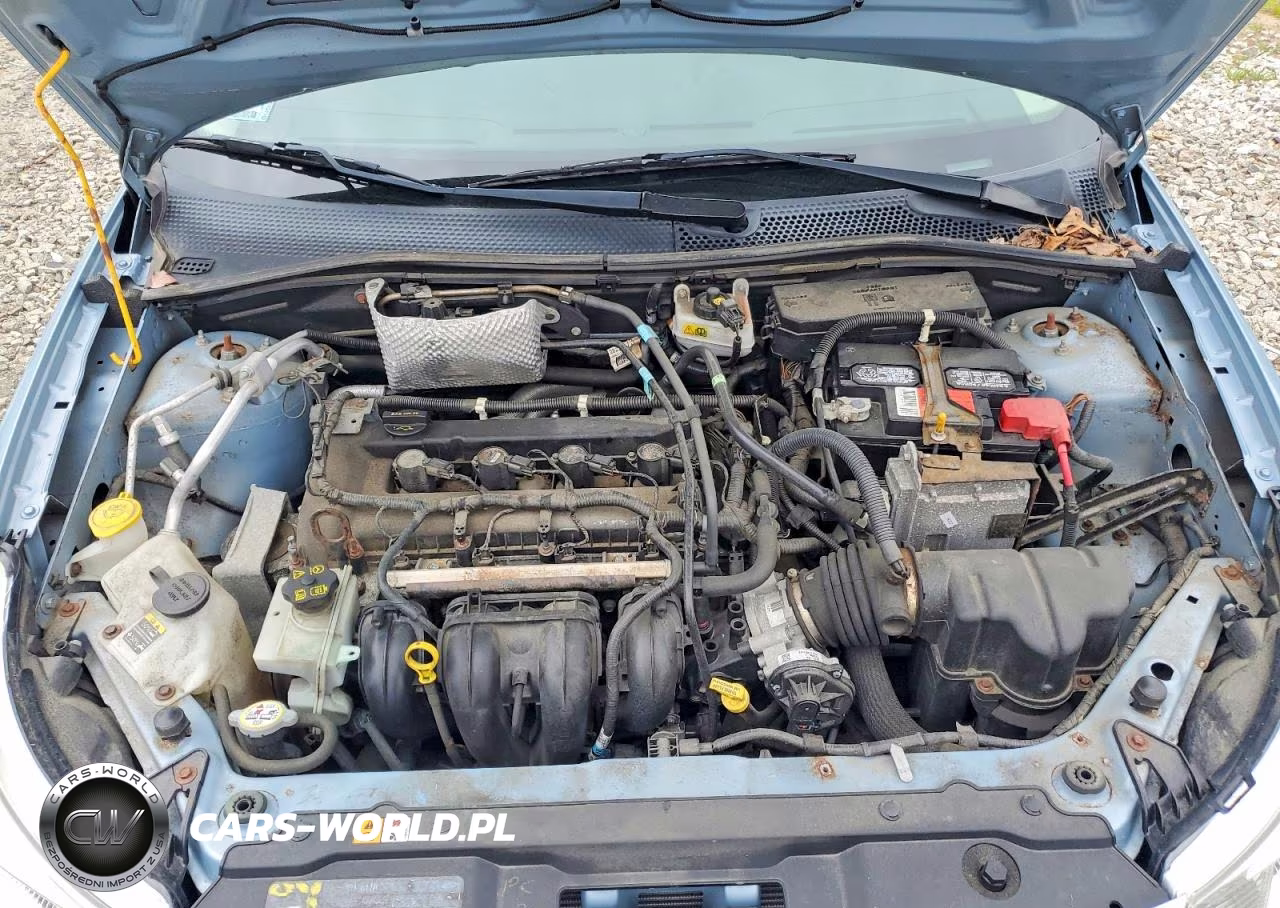 2009 Ford Focus Se VIN:1FAHP35N29W163043 - 11