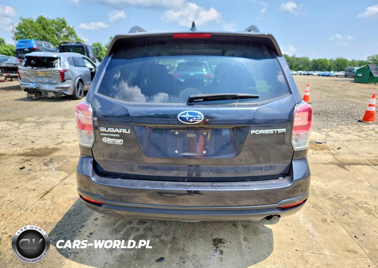 2018 Subaru Forester 2.5I Premium VIN:JF2SJADC6JH613602 - 6