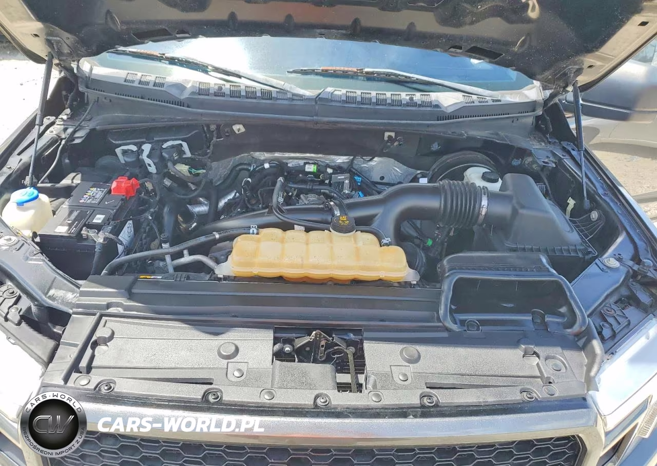 2019 Ford F150 Supercrew VIN:1FTEW1CP1KKF22890 - 11