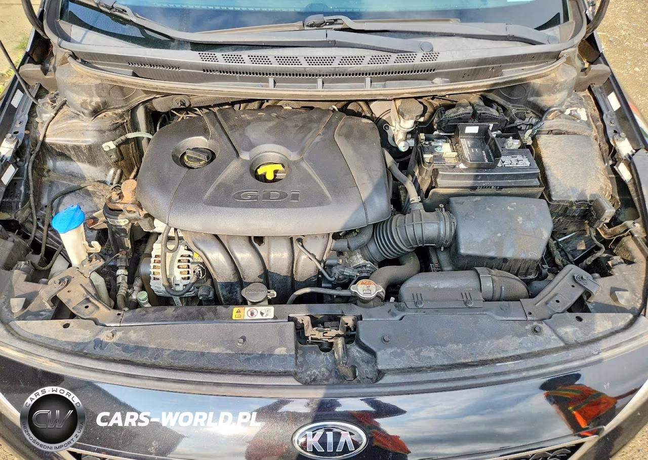 2017 Kia Forte5 Lx VIN:KNAFK5A87H5696874 - 11
